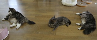 5DA_5470-25.jpg