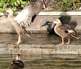 E7D_7122-2.jpg