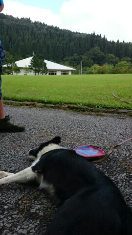 rblog-20140903075029-01.jpg