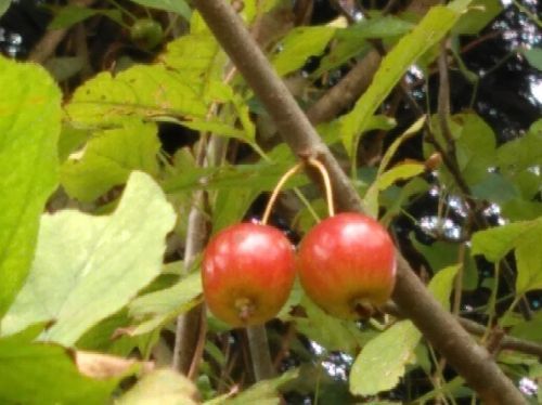rblog-20180913223914-02.jpg