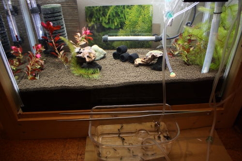 20151229003.JPG