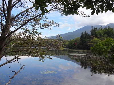 2012-10-07 10.19.07.jpg