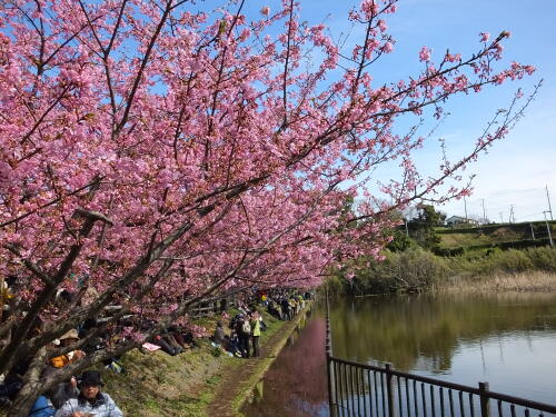 小松ヶ池公園