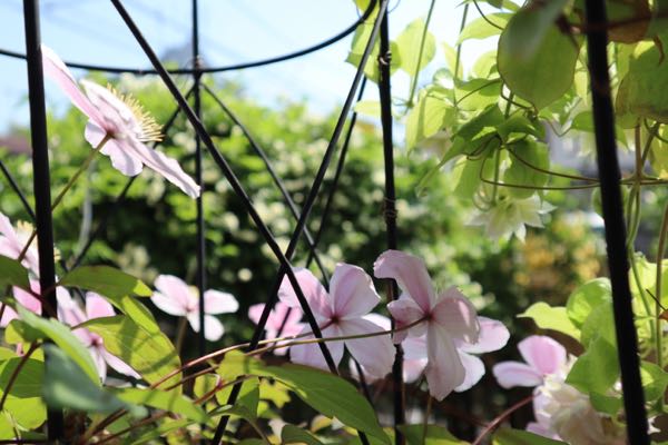 rblog-20180425081837-03.jpg