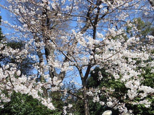 靖國神社