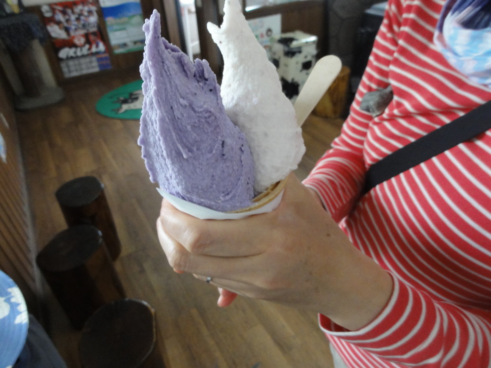 DSC08486.jpg