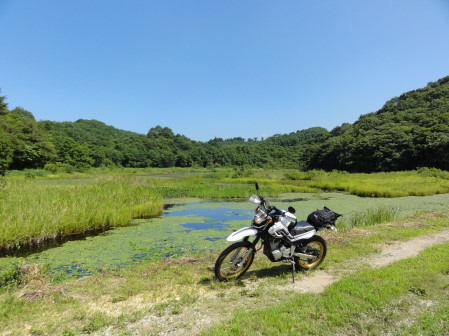 沼