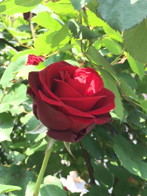 rblog-20140509110817-02.jpg