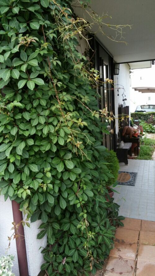 rblog-20180619174942-01.jpg