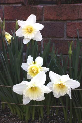 20150322_202.jpg