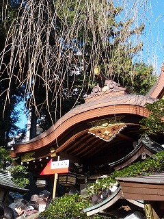 神社.jpg