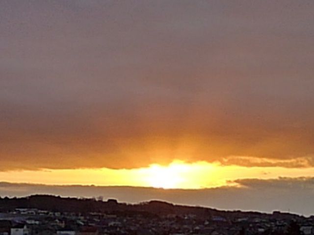 つかの間の朝焼け イベント会場の花たち 小さな花宇宙 そして それから 老いふたりの小宇宙 楽天ブログ