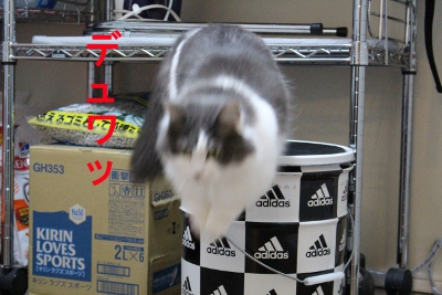 mumu3.JPG