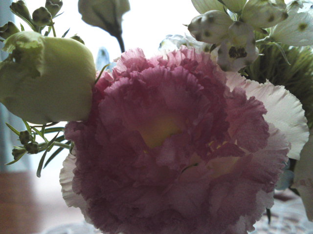 2012-04-16 05:41:14