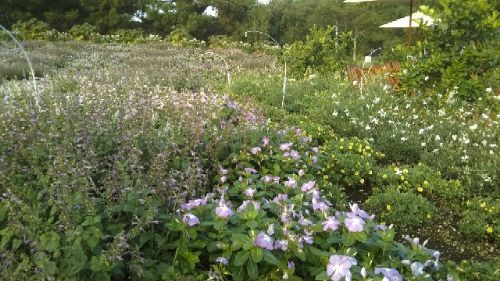 rblog-20180922173610-04.jpg