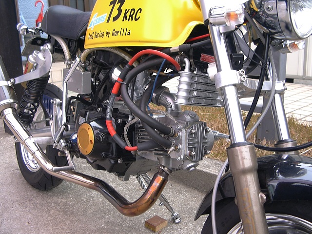 gorira 013.jpg