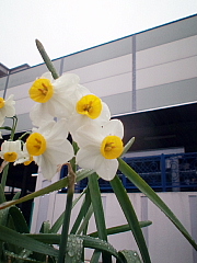 conv0549.JPG
