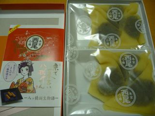 西尾の八橋