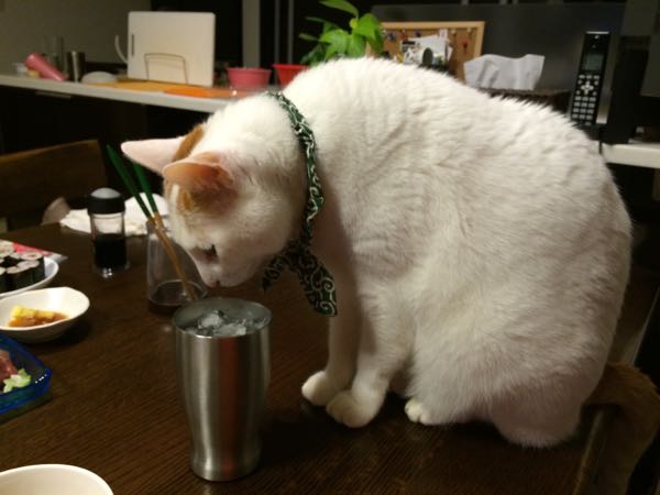 rblog-20141210062546-01.jpg