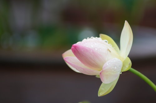 20140618_05.jpg