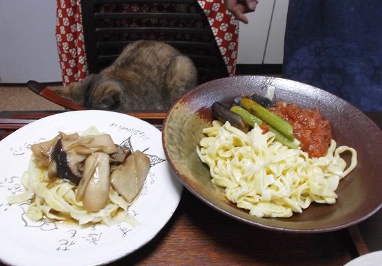 DSCF1733.JPG