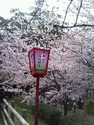 岡崎2