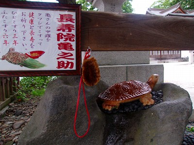 長寿院亀之助.jpg
