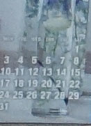 RX39.jpg