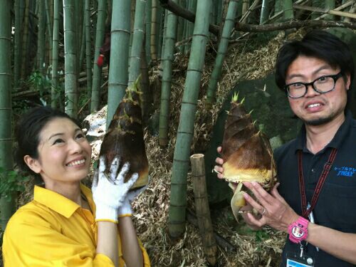 rblog-20160428070548-00.jpg