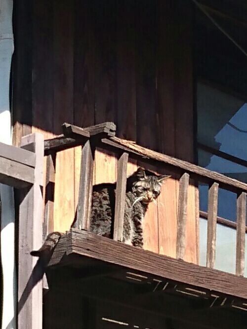 rblog-20170418235133-03.jpg
