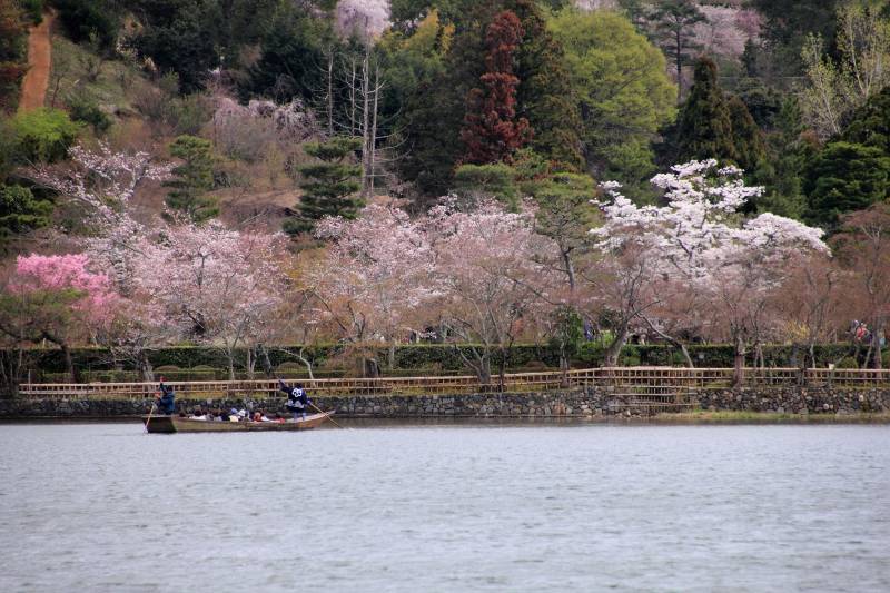 広沢の池_004.jpg