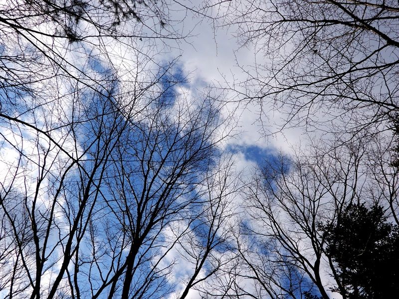 空6