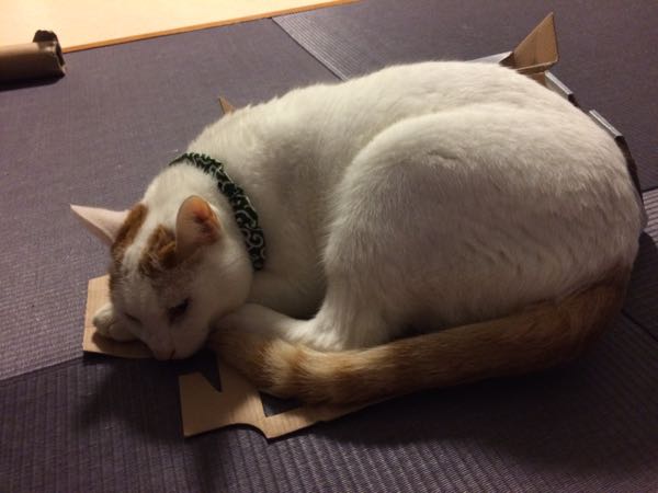 rblog-20150929062016-04.jpg