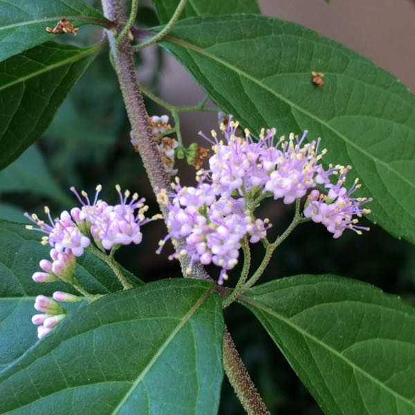 rblog-20160707161716-01.jpg
