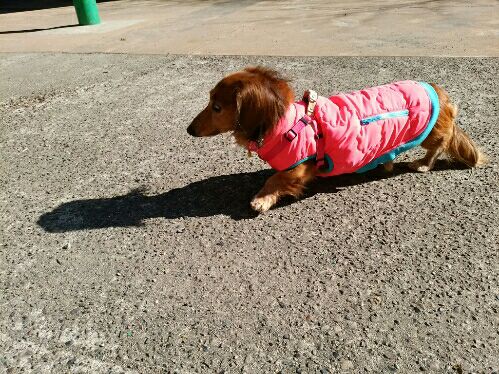 rblog-20160128113511-00.jpg