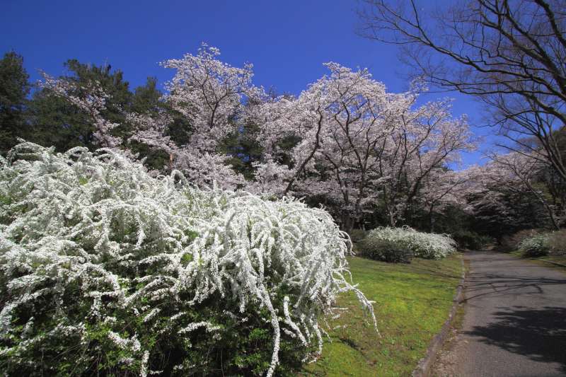万博記念公園_002.jpg