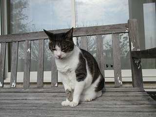 IMG_3200ss.jpg