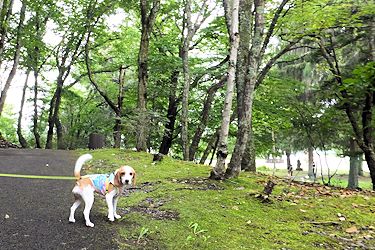 20160916山コース