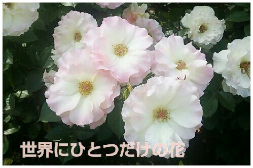 rblog-20160517211000-00.jpg