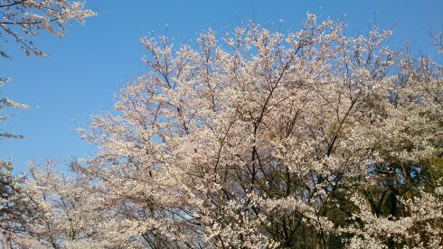 rblog-20140412221202-00.jpg