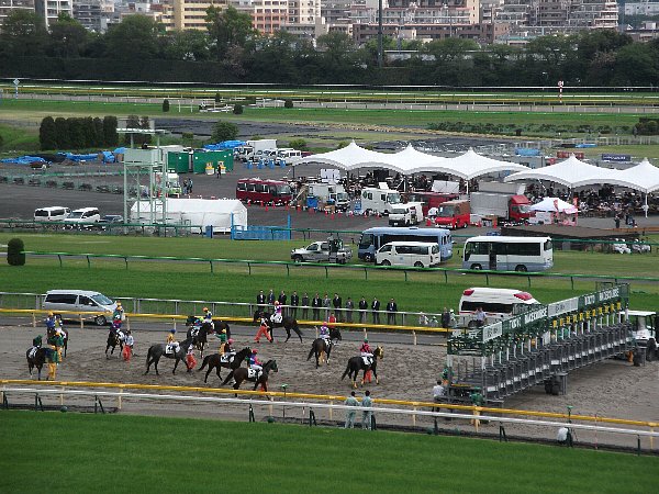4-23 tokyo-keiba-114.JPG