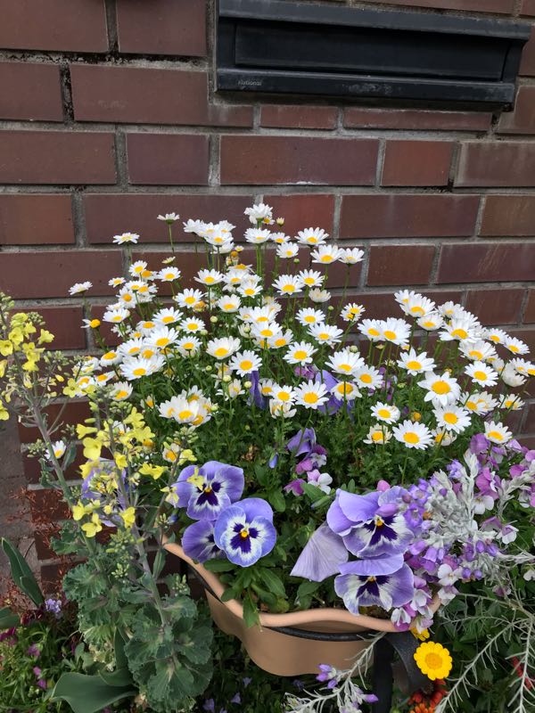 rblog-20190423182202-09.jpg