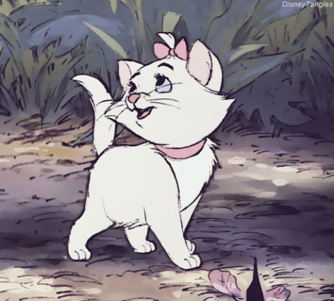 image3445.gif
