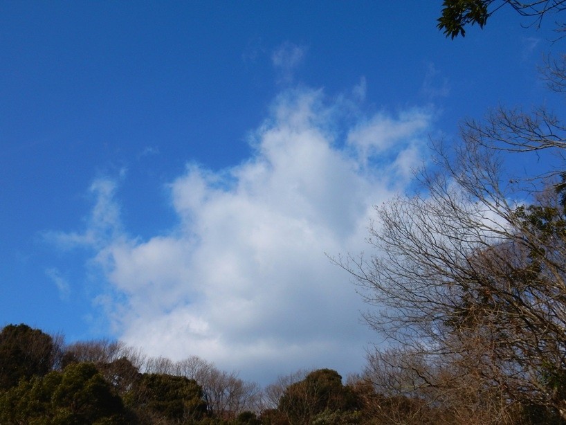 空