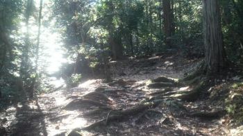 2012122711180000.jpg