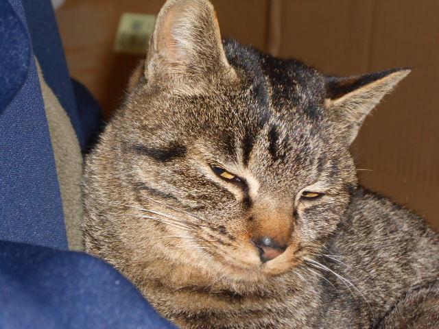 DSCN0798.JPG