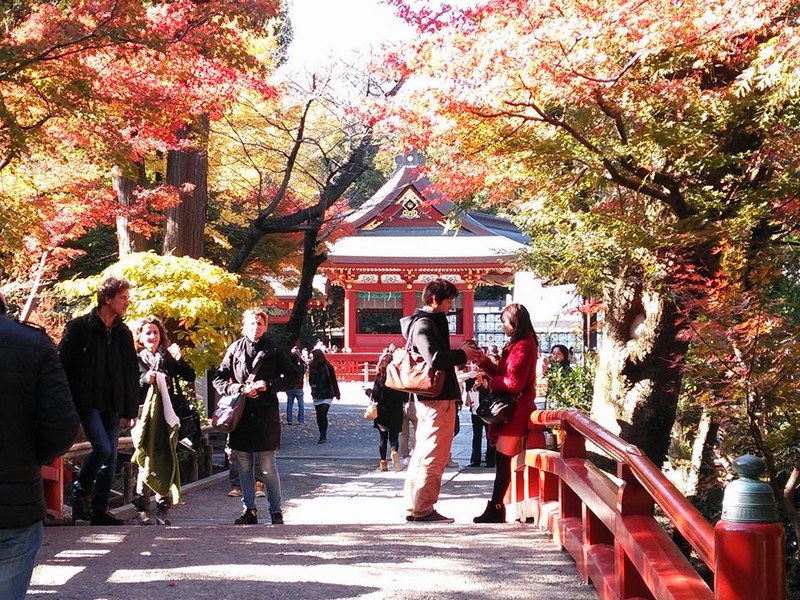 2013紅葉03.jpg