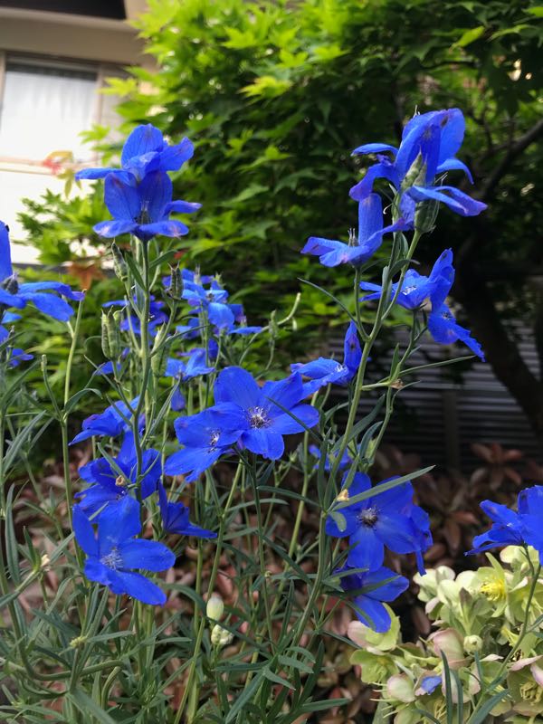 rblog-20180429182036-05.jpg