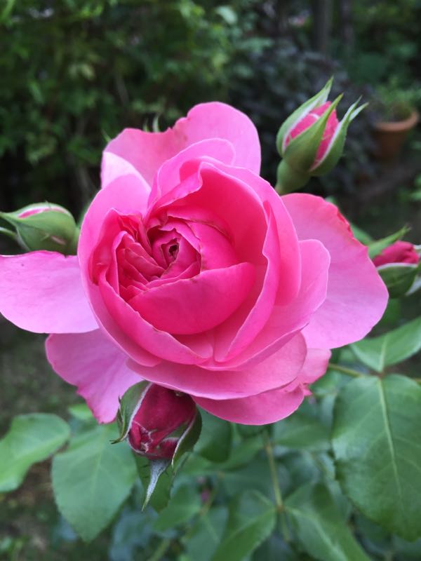 rblog-20160609235227-08.jpg