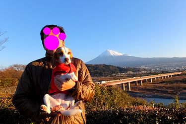 20160210富士川SA